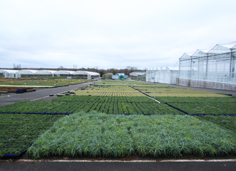 VISITE DE LA PÉPINIÈRE BARRAULT