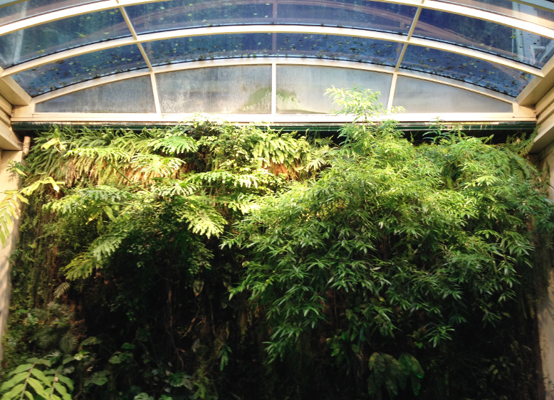 CONFÉRENCE DE PRESSE