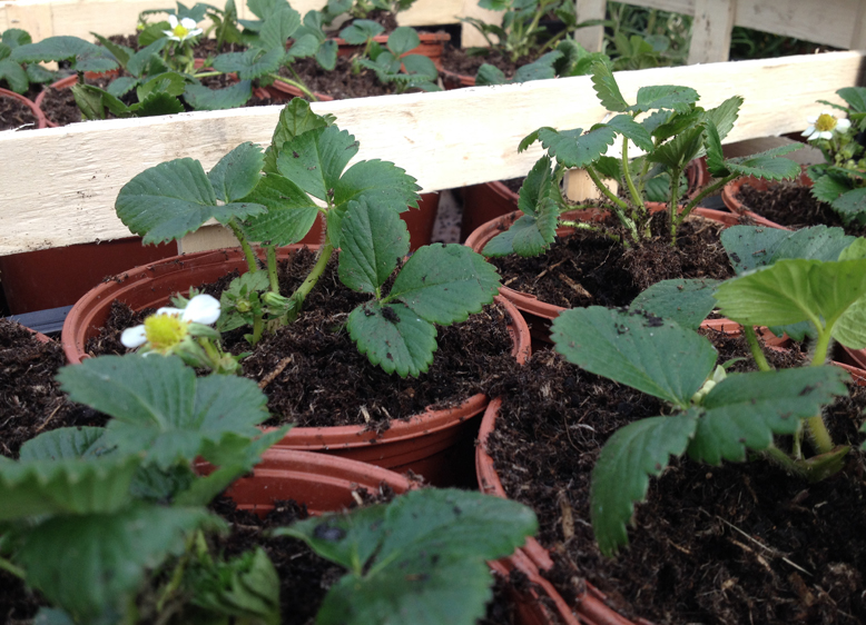 PRÉPARATION DU CHANTIER