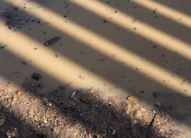 DE RETOUR SUR LE CHANTIER : APRÈS LA PLUIE, LE BEAU TEMPS…