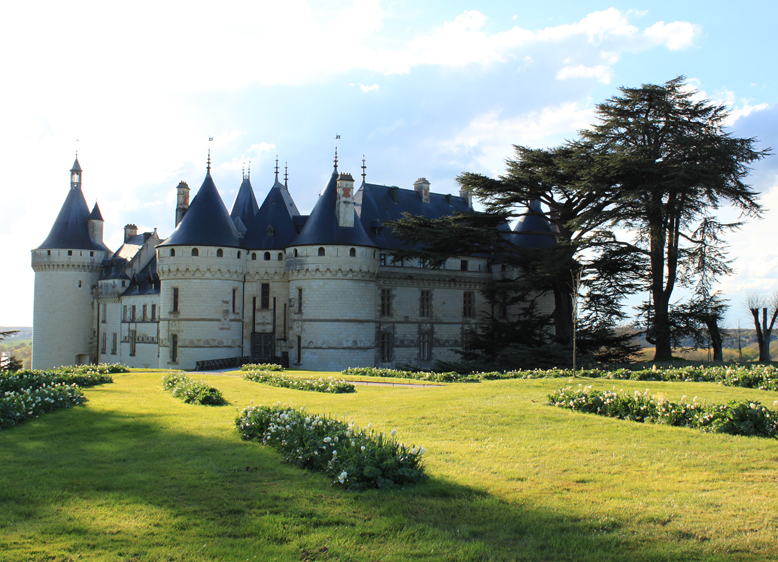 LE CHÂTEAU ET SES TULIPES