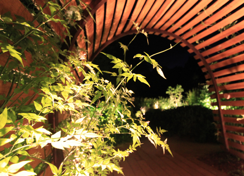 LE JARDIN DE NUIT