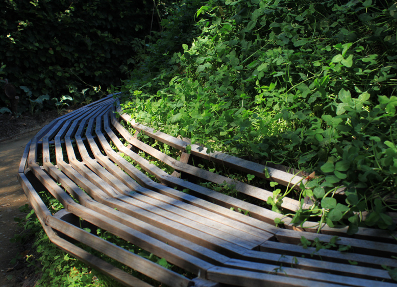 LE SOLEIL ET LA CHALEUR, ENFIN !