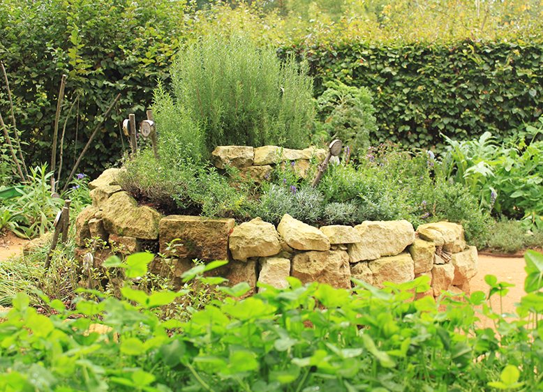 C&rsquo;EST L&rsquo;AUTOMNE AU JARDIN !
